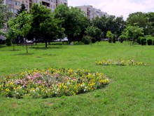 Разкрасиха парк "Белите брези"