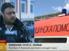 Бащата, водил битка с питбулите: Беше като във филм на ужасите