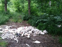 Читател: Крайно време е да се забрани достъпът на коли в парковете