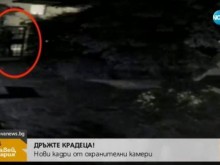 Таксиметров шофьор открадна градински инструменти от двор