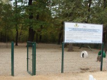 Собствениците на добермани се срещат в Пловдив
