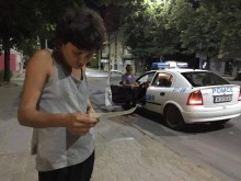Берачка на липа с три акта за един ден