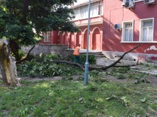 Вижте щетите от вчерашната буря