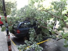 Огромен клон се стовари върху автомобил в центъра на Пазарджик