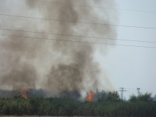Огромният пожар край Пловдив обхванал над 10 000 дка, локализиран е! Пуснаха влака за Панагюрище