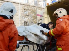Пиян мъж се заля с бензин и опита да запали апартамента, в който живее с майка си и брат си