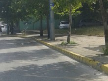 Пловдивчани започнаха да "ловят" криещи се под сянка катаджии