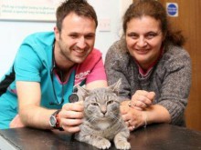 Котка оцеля след пране