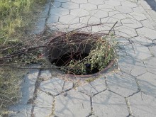 Опасност дебне пловдивчани на метри от спирка