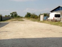 Кюфтета, пълни с отрова, убиват кучета в Пловдив!