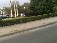 Читател: Това не е нормално за една Европейска столица на културата