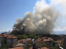 Голям пожар в Тютюневия град! Седем екипа пожарникари се борят със стихията