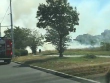 Видео показа пожар на "Скобелева майка"