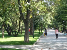 Пловдивчани над нещата