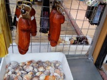 13 забавни снимки за това как привличат туристи в Слънчев бряг