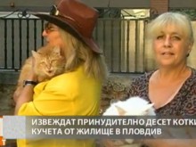 Безпрецедентен юридически казус в Пловдив