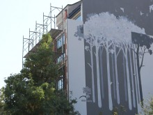 Гора се появи върху фасадата на новострояща се кооперация в Пловдив