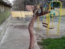 Пловдивската мода превзе и Свищов