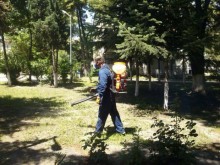 Пръскат срещу кърлежи в детските градини