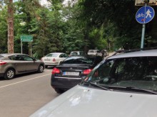Коли атакуват тепетата в Пловдив, институциите безпомощни