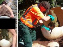 Гнусно! Жена задоволи сексуалните си мераци на детска площадка (18+)