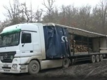Горски инспектори от Пловдив са нападнати при опит да спрат незаконна сеч