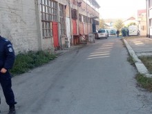 До 6 бона стигали залаганията във фабриката за кучешки боеве в Пловдив