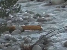 Отменят бедственото положение в Банско