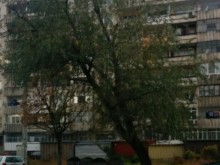 Дърво виси над пътя, ето къде се подават сигнали