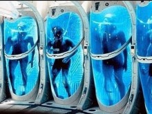 ����� �������� ��������� �� ������� ���� �� ���� ���������