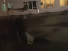 24 ������� �� ���������� ��� ����������� � ������ � ��������