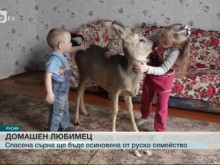 ���� ����� ����� ������� �������