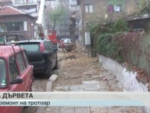 Пловдивчани протестират срещу изсичането на няколко акации