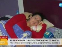 Млада жена е със счупени прешлени след нападение от бездомни кучета