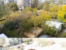 Пловдивчанин: Застрояването продължава, а дърветата пречат!