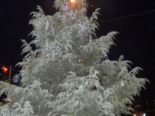 Запалиха светлините на коледната елха в "Южен"