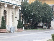 Снегът в Пловдив усили, ще опровергае ли синоптиците?