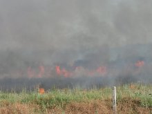 Неизвестни изпепелиха два тона лавандула и люцерна