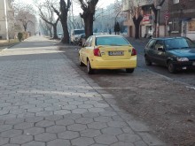 Този е поредният "гражданин", населяващ Пловдив