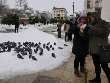 Гълъбите на пл. "Централен" се превърнаха в атракция за група чужденци