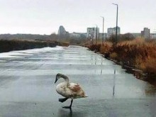 ������ ����������� �� ������������! ������ ��������� ������, �� ����� Burgas24.bg �����������