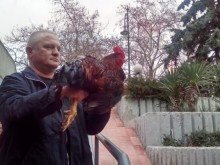 Днес е Петльовден