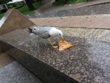 ������� ������� � �������� ������ ������ ����
