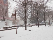 ��������� �� ���: ����� ���� ������ �� ����
