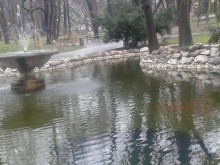 Участвайте във фотоконкурса "Фонтаните в България"