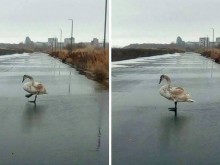 ������� ������ �� ����� ���� � �������