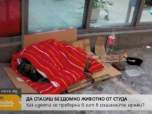 �� ������ �������� ������� �� ����� - ��� � ���������� �����