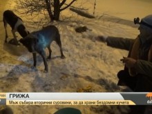 Мъж се грижи за бездомните кучета, като събира вторични суровини