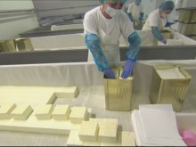 Затворници ще произвеждат млечни продукти по световни стандарти на о. Персин