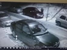 21-������� �� ���� � 8 ����� ���� � ������ �� ������ ����